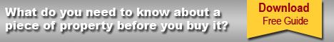 What do you need to know about a piece of property before you buy it? Download this Free Guide.